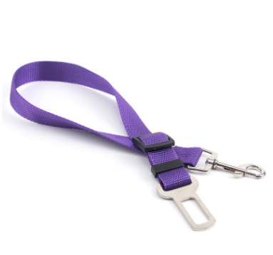 Fixed Strap Polyester Dog Leash