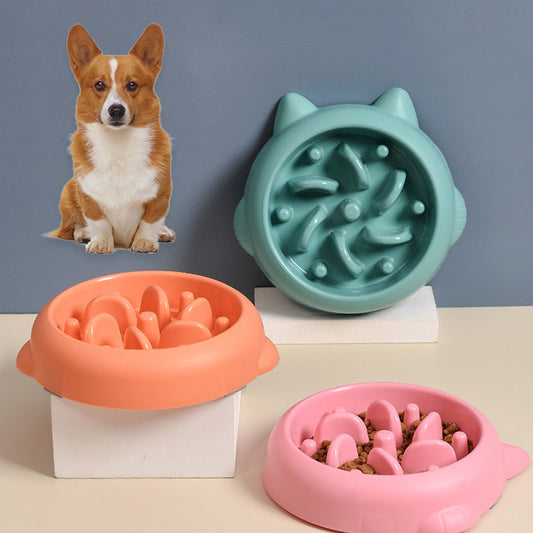 Pet Feeder Bowls