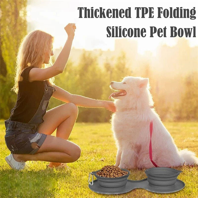 Rubber Foldable Double Pet Feeding Bowl