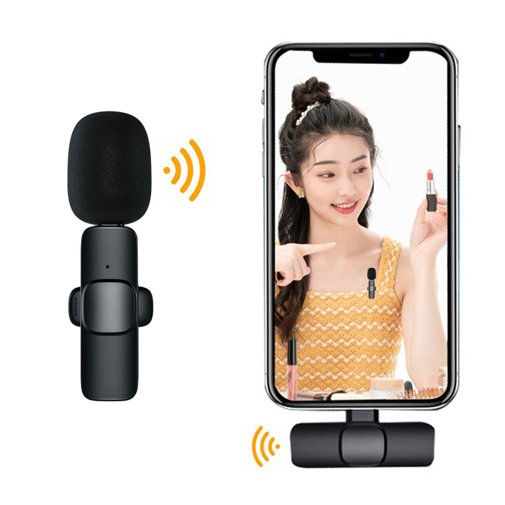 Portable Wireless Microphone