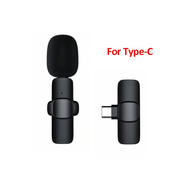 Portable Wireless Microphone